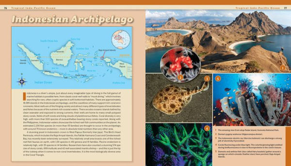 Reef Life: A Guide to Tropical Marine Life