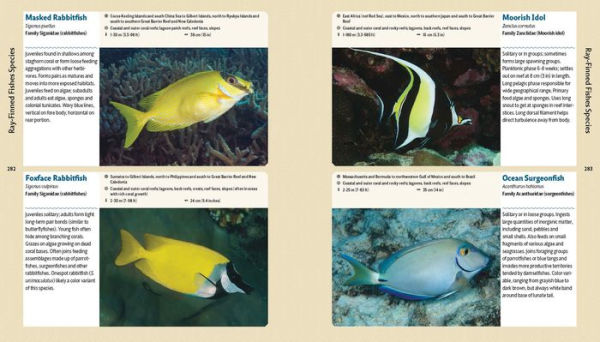 Reef Life: A Guide to Tropical Marine Life