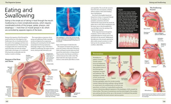 Illustrated Human Anatomy: The Authoritative Visual Guide to the Human ...