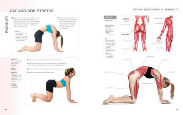 Anatomy of Exercise for Women: A Trainer's Guide to Exercise for Women