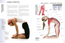 Alternative view 3 of Anatomy of Exercise for 50+: A Trainer's Guide to Staying Fit Over Fifty