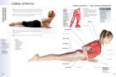Alternative view 4 of Anatomy of Exercise for 50+: A Trainer's Guide to Staying Fit Over Fifty