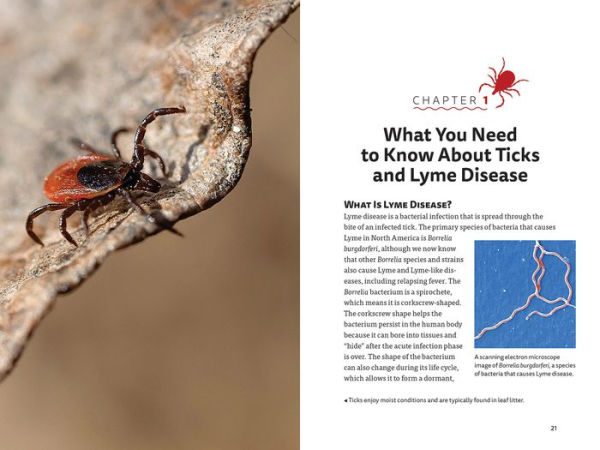 Lyme Disease, Ticks and You: A Guide to Navigating Tick Bites, Lyme Disease and Other Tick-Borne Infections