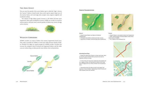 Watersheds: A Practical Handbook for Healthy Water