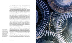 Alternative view 12 of Creatures of the Deep: In Search of the Sea's Monsters and the World They Live In