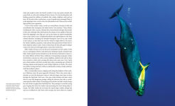Alternative view 2 of Creatures of the Deep: In Search of the Sea's Monsters and the World They Live In