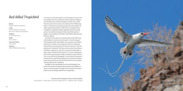 100 Flying Birds: Photographing the Mechanics of Flight