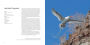Alternative view 11 of 100 Flying Birds: Photographing the Mechanics of Flight