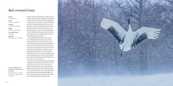 100 Flying Birds: Photographing the Mechanics of Flight