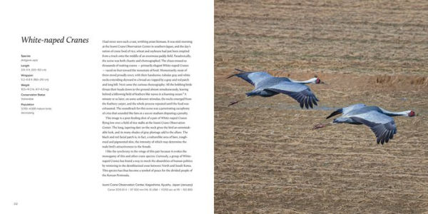 100 Flying Birds: Photographing the Mechanics of Flight