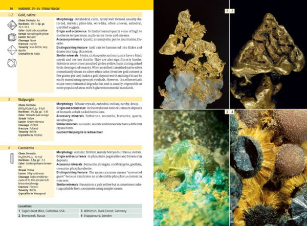 The Minerals Encyclopedia: 700 Minerals, Gems and Rocks