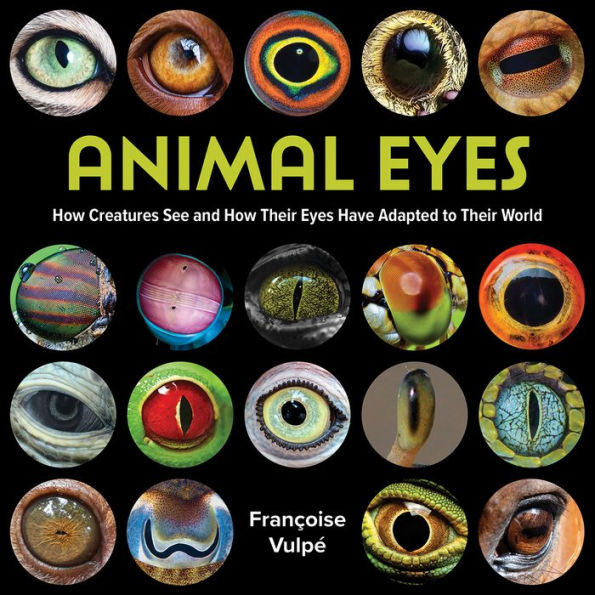 Animal Eyes: How Creatures See and Their Eyes Have Adapted to World