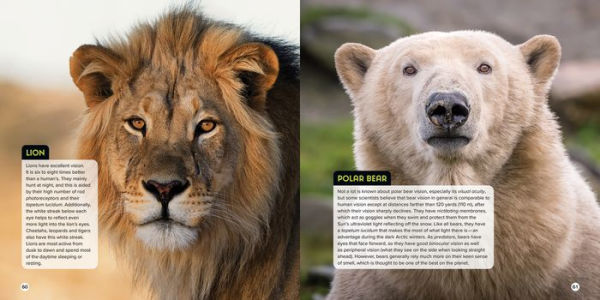 Animal Eyes: How Creatures See and Their Eyes Have Adapted to World