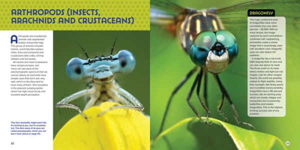 Animal Eyes: How Creatures See and Their Eyes Have Adapted to World