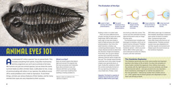 Animal Eyes: How Creatures See and Their Eyes Have Adapted to World