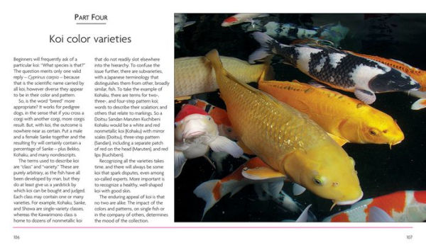 Mini Encyclopedia Keeping Koi: Comprehensive Coverage, from Building a Koi Pond to Choosing Color Varieties