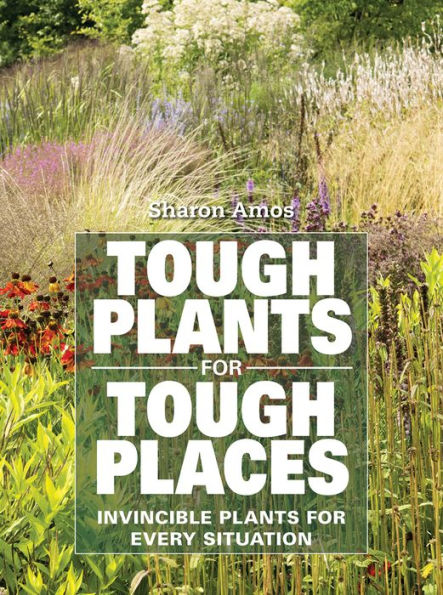 Tough Plants for Tough Places: Invincible Plants for Every Situation