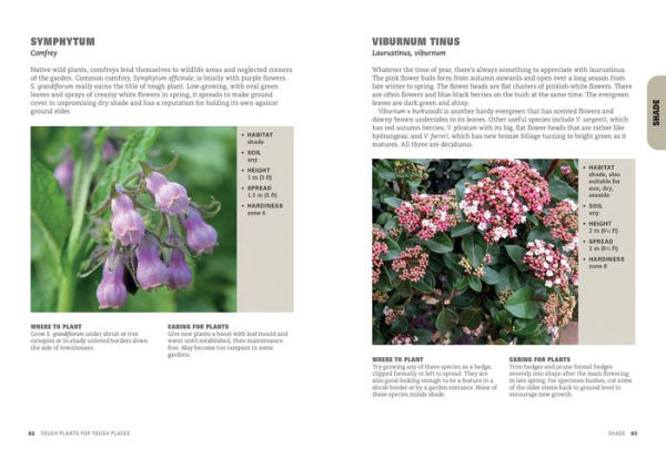Tough Plants for Tough Places: Invincible Plants for Every Situation