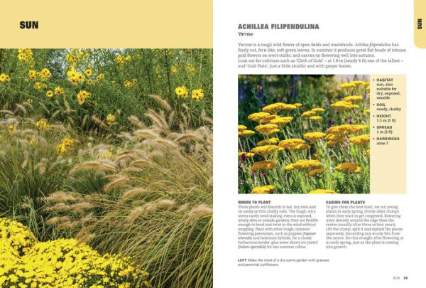 Tough Plants for Tough Places: Invincible Plants for Every Situation