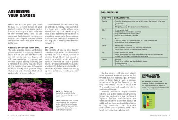Tough Plants for Tough Places: Invincible Plants for Every Situation