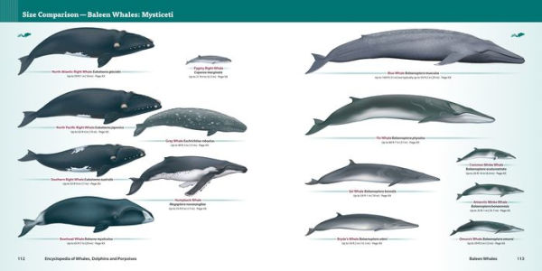 Encyclopedia of Whales, Dolphins and Porpoises