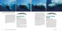 Alternative view 4 of Encyclopedia of Whales, Dolphins and Porpoises