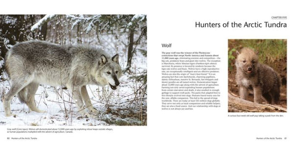 Wildlife of the North: Animals of the High Latitudes of North America and Europe