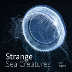 Alternative view 1 of Strange Sea Creatures