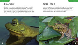 Alternative view 2 of Observing Nature by Canoe and Kayak