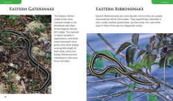 Alternative view 7 of Observing Nature by Canoe and Kayak