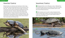 Alternative view 8 of Observing Nature by Canoe and Kayak