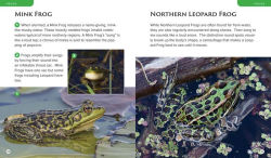 Alternative view 9 of Observing Nature by Canoe and Kayak