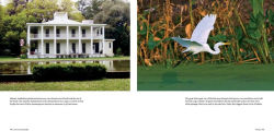 Alternative view 5 of Florida: The Sunshine State