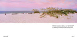 Alternative view 6 of Florida: The Sunshine State