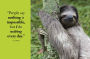 Alternative view 8 of Wisdom of Sloths