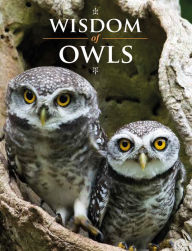Title: Wisdom of Owls, Author: Lisa Purcell