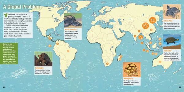 Saving Turtles: A Kid's Guide to Helping Endangered Creatures