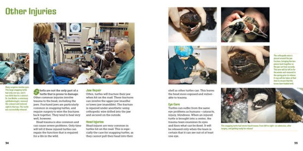 Saving Turtles: A Kid's Guide to Helping Endangered Creatures