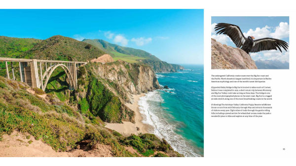 California: The Golden State