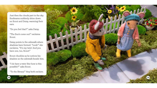 The Case of the Tagalong Twin: A Gumboot Kids Nature Mystery