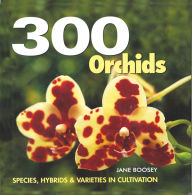 Title: 300 Orchids: Species, Hybrids and Varieties in Cultivation, Author: Jane Boosey