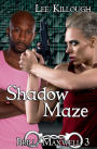 Shadow Maze