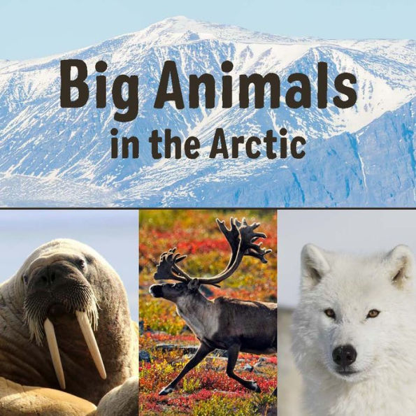 Big Animals in the Arctic: English Edition