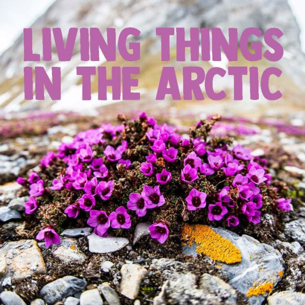 Living Things in the Arctic: English Edition