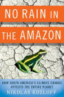 No Rain in the Amazon: How South America's Climate Change Affects the Entire Planet