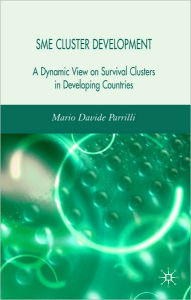 Title: SME Cluster Development: A Dynamic View of Survival Clusters in Developing Countries, Author: Mario Davide Parrilli