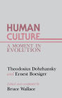 Human Culture: A Moment in Evolution