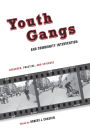 Youth Gangs and Community Intervention: Research, Practice, and Evidence