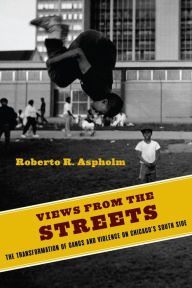 Title: Views from the Streets: The Transformation of Gangs and Violence on Chicago's South Side, Author: Roberto Aspholm