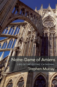 Download books to iphone 4s Notre-Dame of Amiens: Life of the Gothic Cathedral 9780231195768